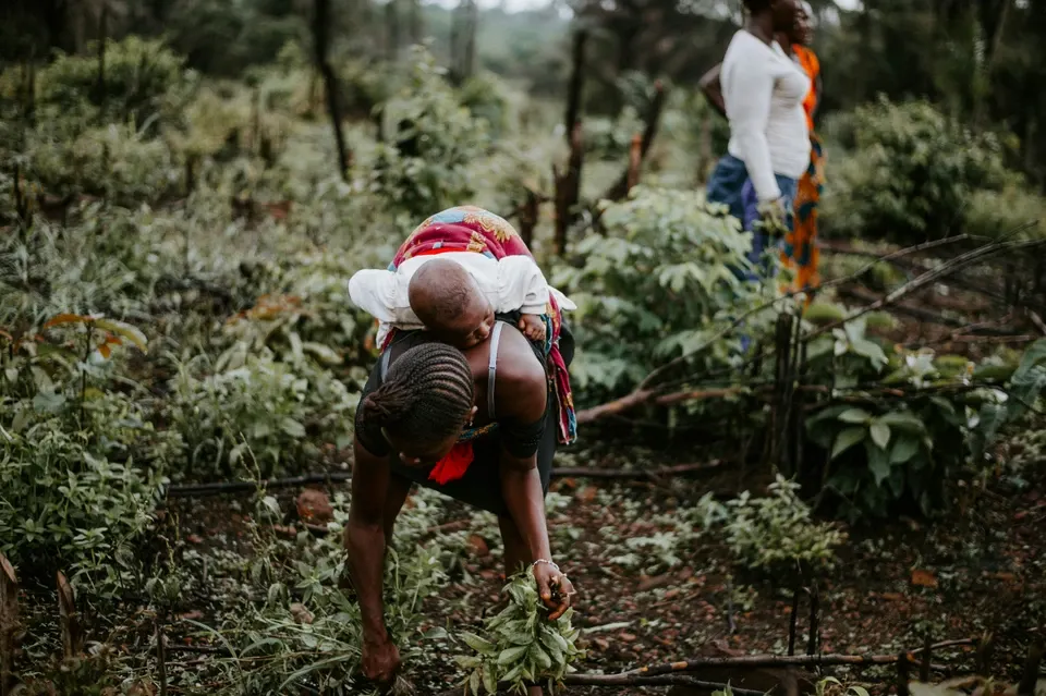 Farmer working in field